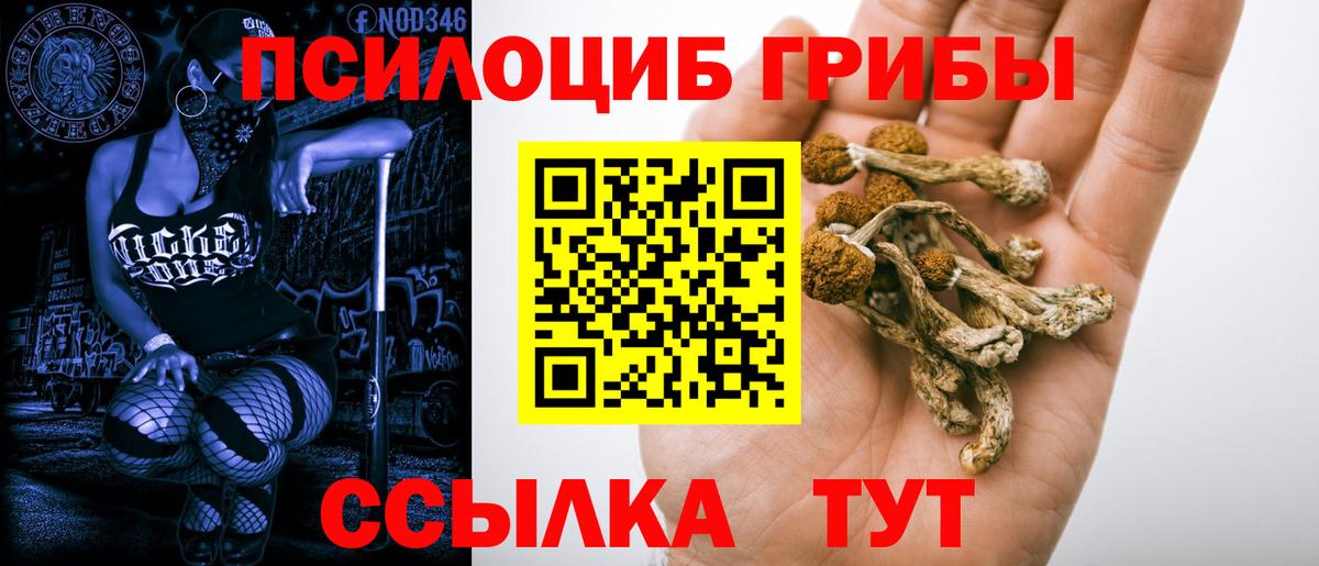 Балтийск  Галлюциногенные грибы Cubensis  Вход с VPN 