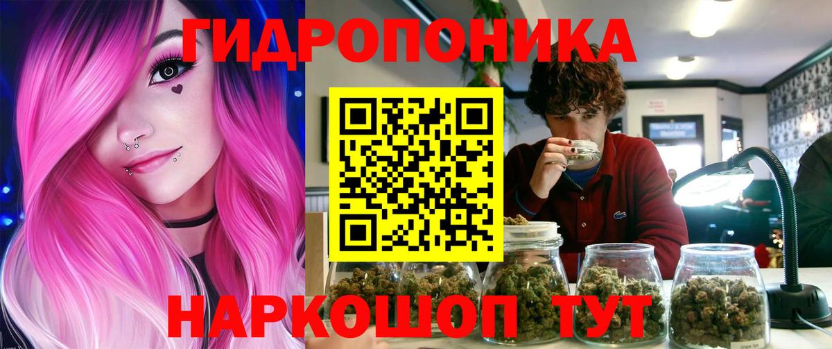 Бошки Шишки гибрид Балтийск
